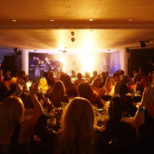  best live entertainment