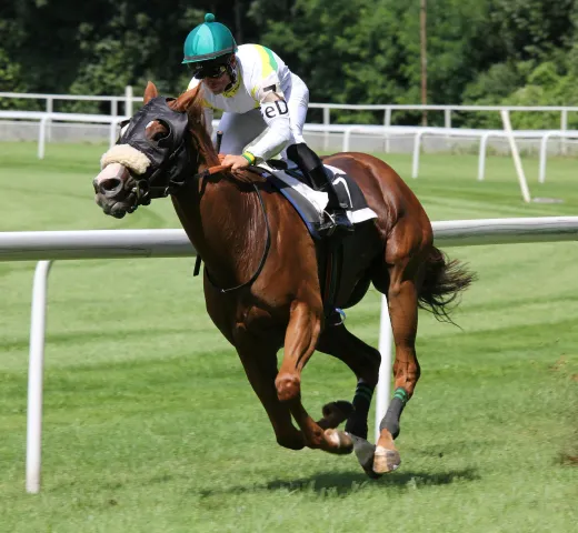 How to Bet on Horse Racing
